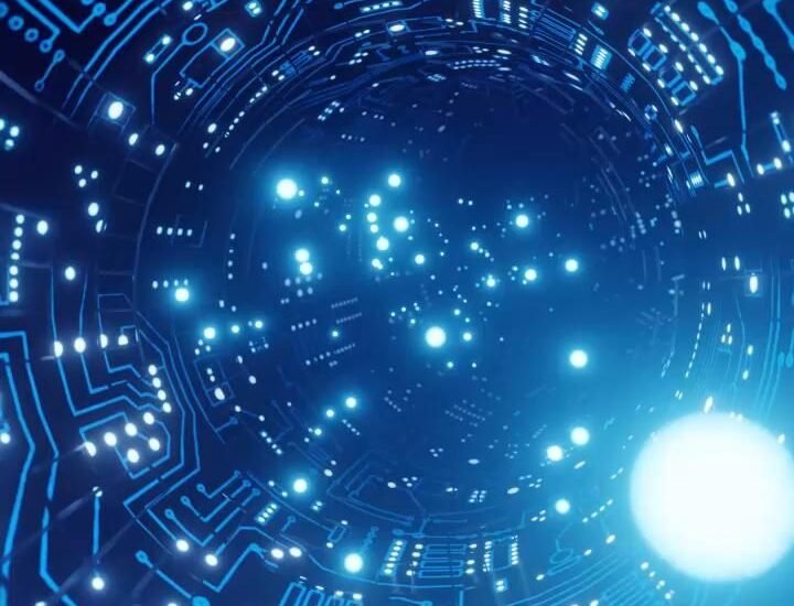 Affordable web designing Bihar