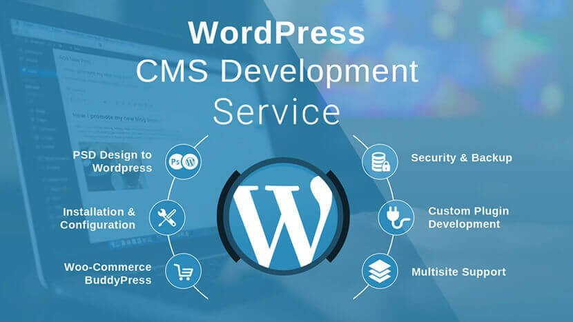CMS Designing Services