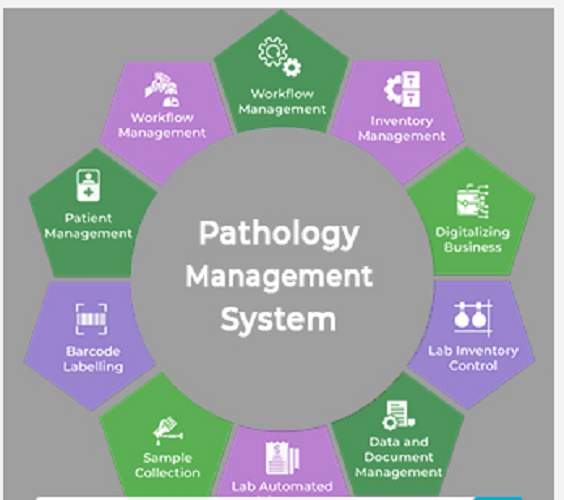 Pathology Management System