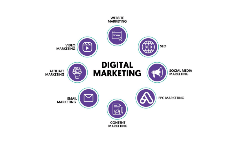 website developer in Patna