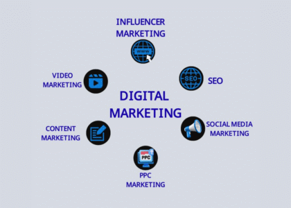 Website Developer in Patna