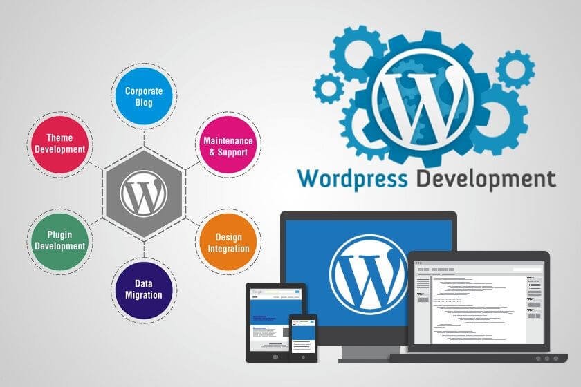 WordPress Development UAE