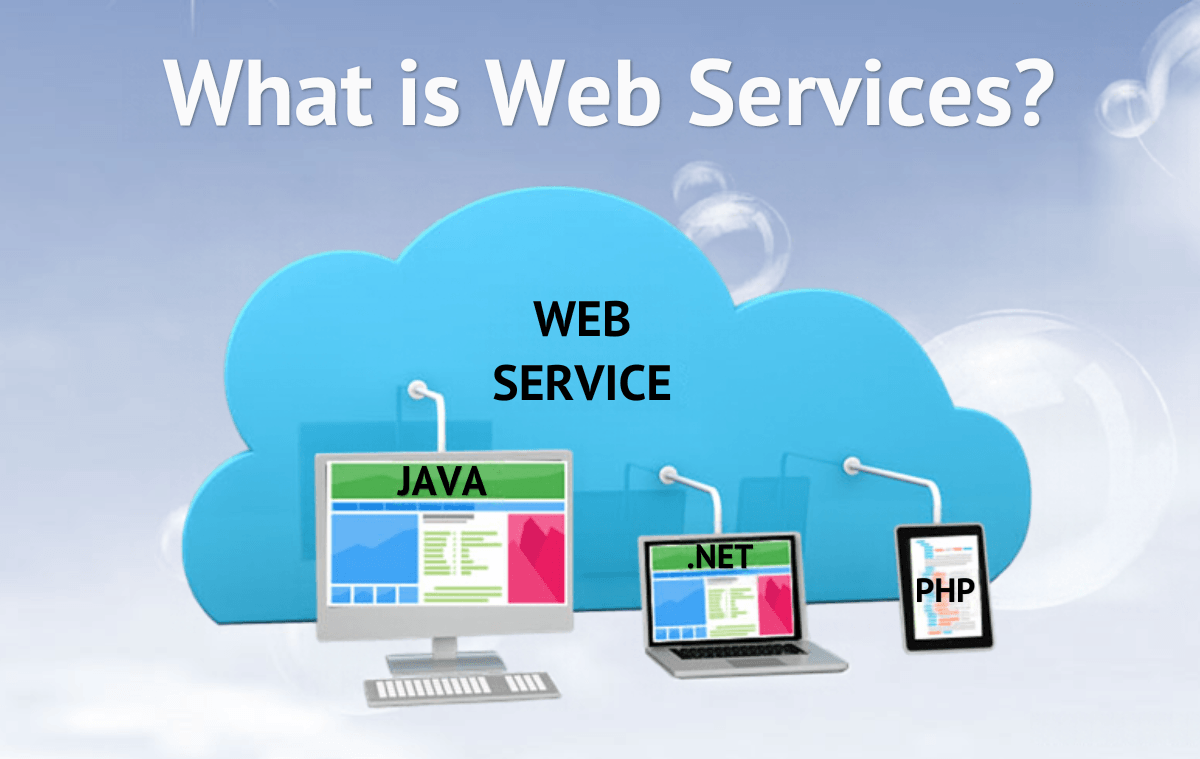 Web Technology Services