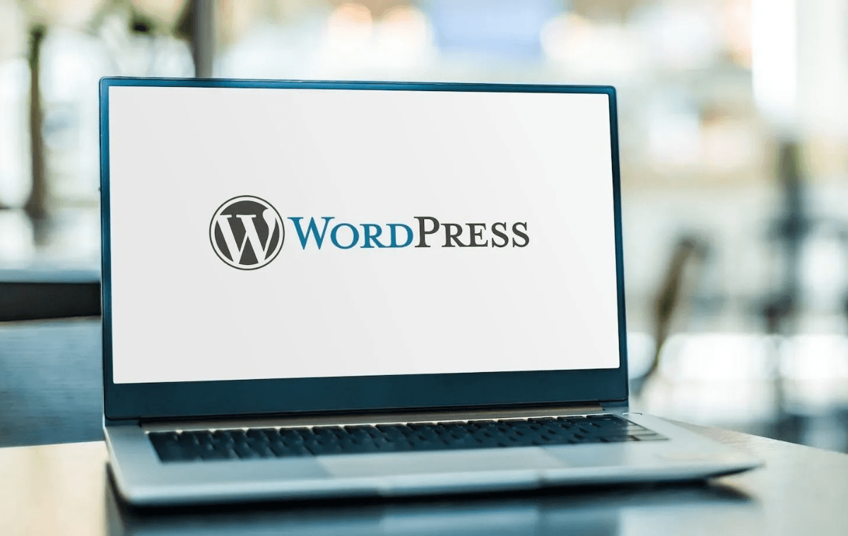 Professional Website Designer