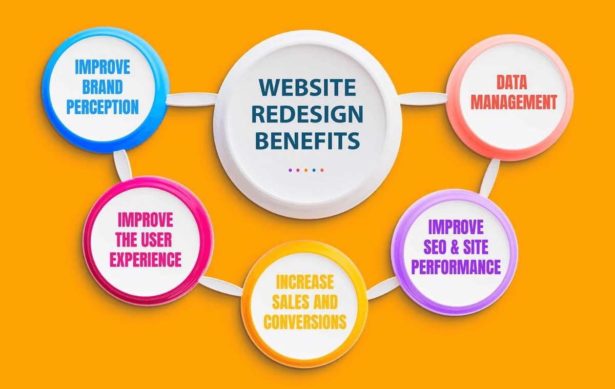 Professional Website Designer